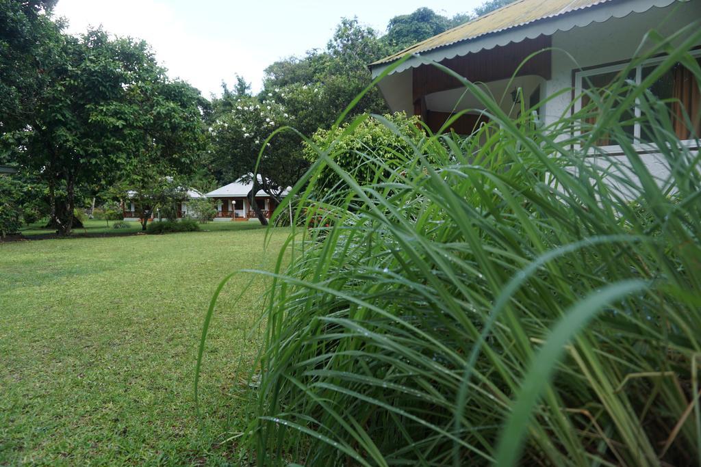 Chalet Bamboo Vert La Digue Eksteriør bilde