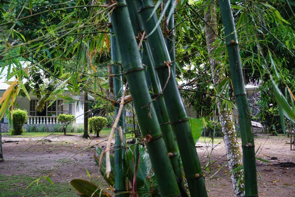Chalet Bamboo Vert La Digue Eksteriør bilde